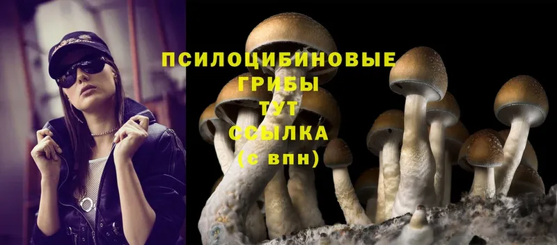 Псилоцибиновые грибы Magic Shrooms  наркотики  Димитровград 